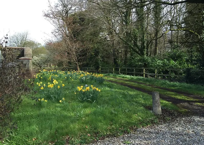 דירה Townley Hall