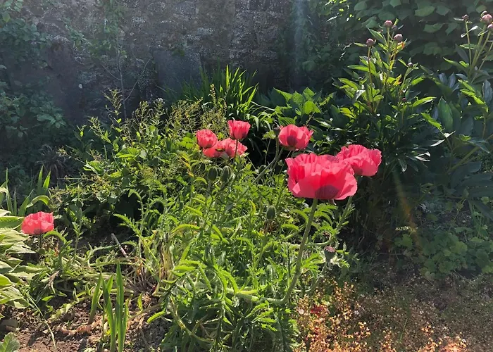 Townley Hall דירה *