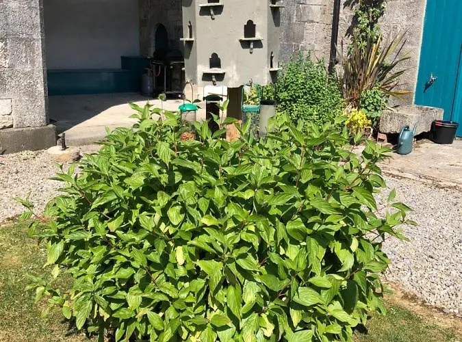 Townley Hall דירה *