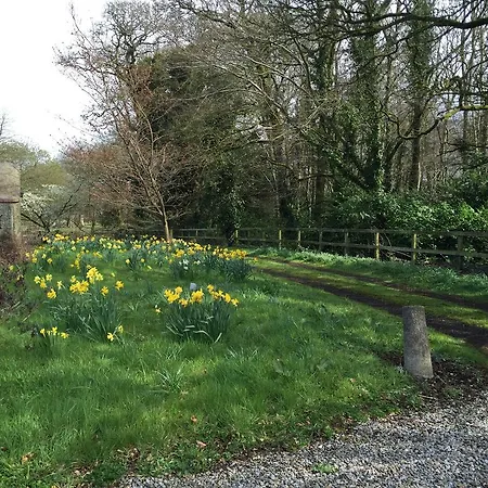 Apartamento Townley Hall