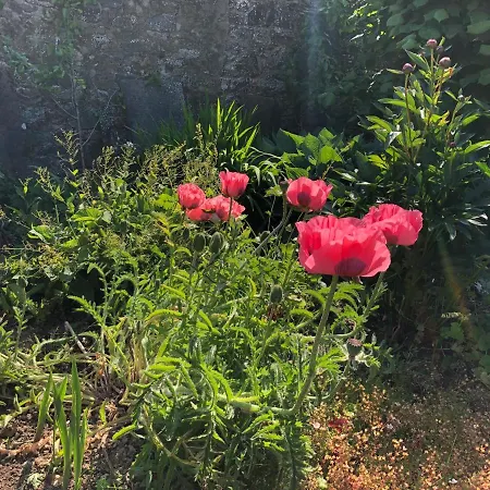 Townley Hall Apartamento *